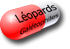 leopards.png